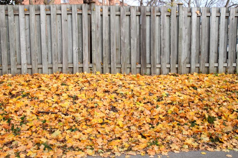 Fall Fence Preparation