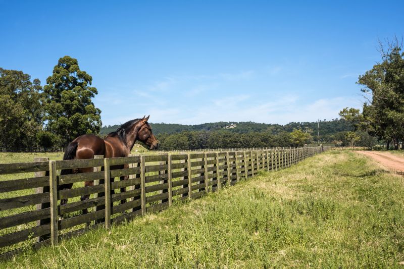 Pasture Fence Replacement