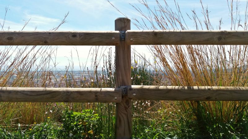 Fence Installation in Spring